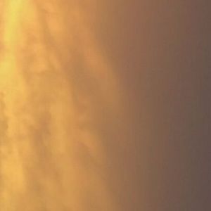 Meet your Posher, Rylan